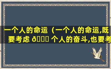 一个人的命运（一个人的命运,既要考虑 🐎 个人的奋斗,也要考虑历史的进程）